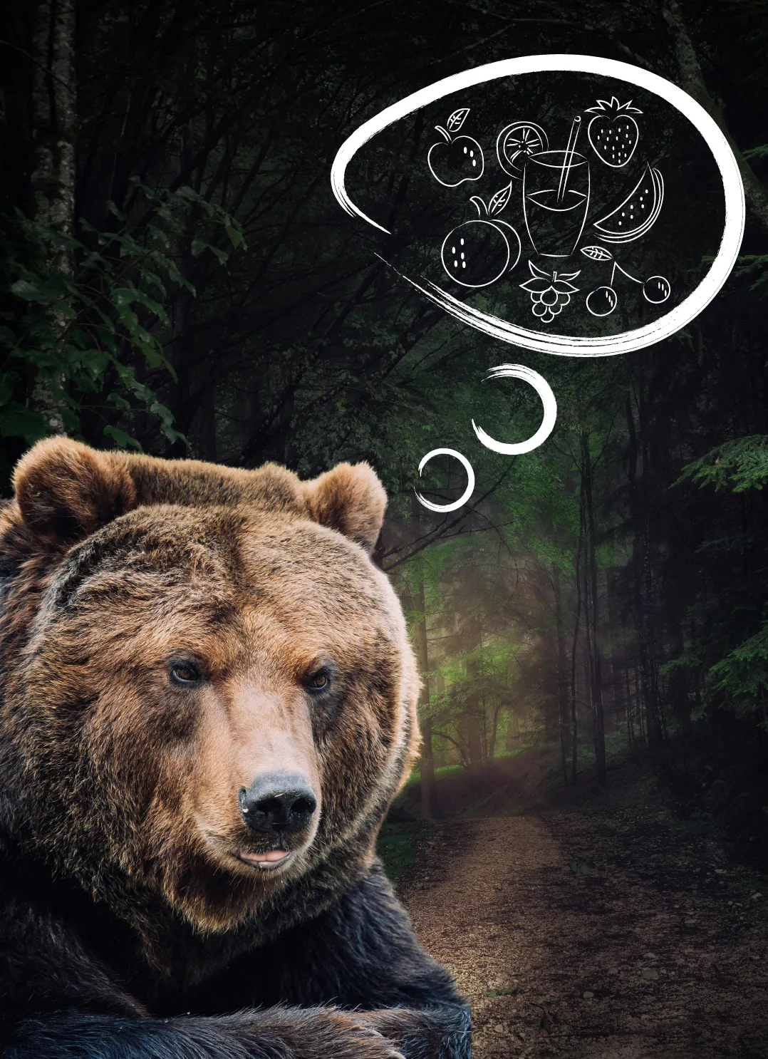 Bear's Fruity Dreams
