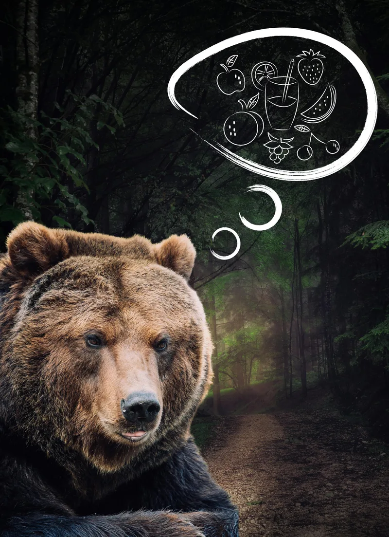 Bear's Fruity Dreams