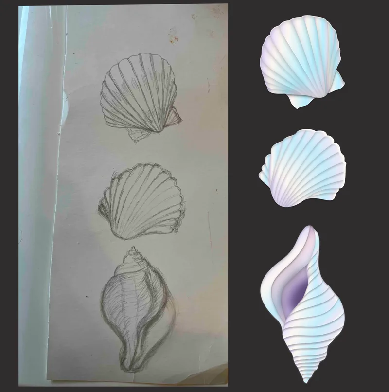 The Beauty of the Sea Shells